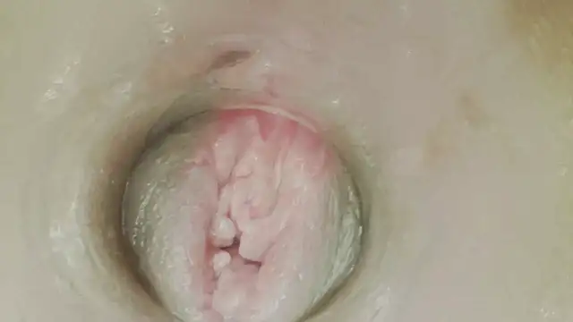 karol_stom