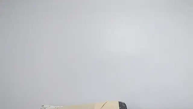 BIGUNCUTHARDCOCK