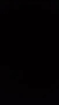 pitudobrandon