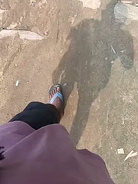 Odisha_12345_model