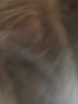 ScarletsWeb