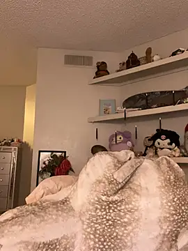SafeinouterSpace webcam