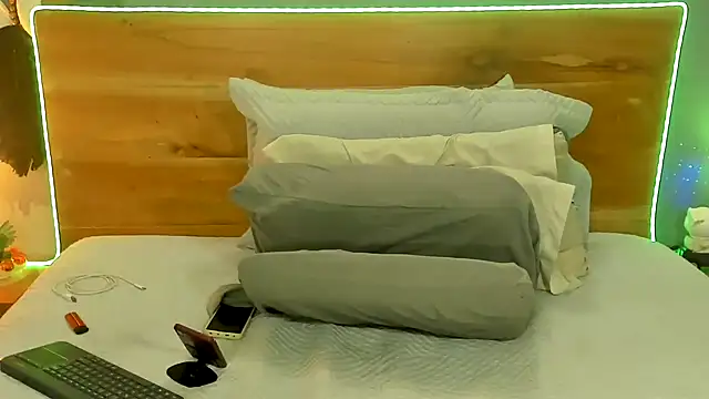 Prometeo-grizzly webcam