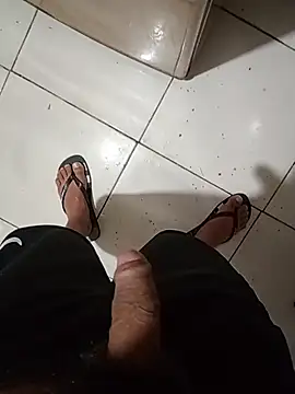 luiztesaok