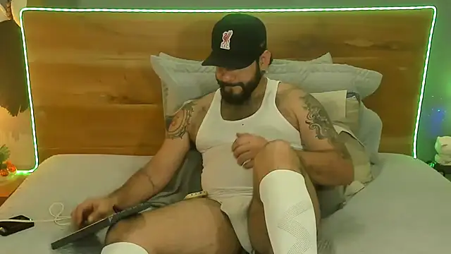 Prometeo-grizzly webcam