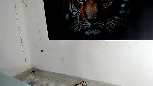 Sophiagiraldo webcam