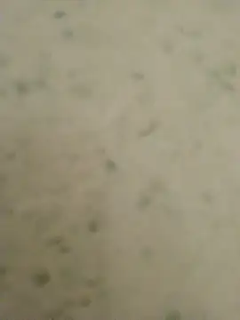 Misss_Janvi