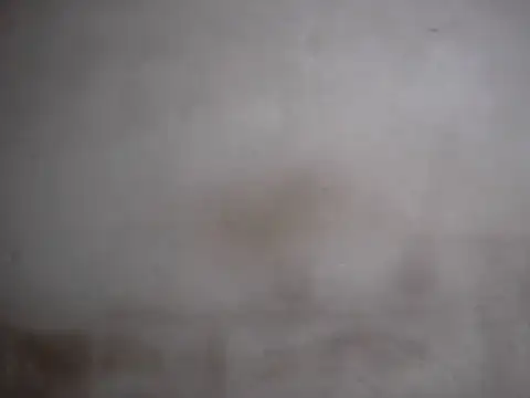 AlbertBigCock