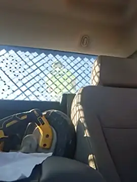DaddyAndSplashQueen