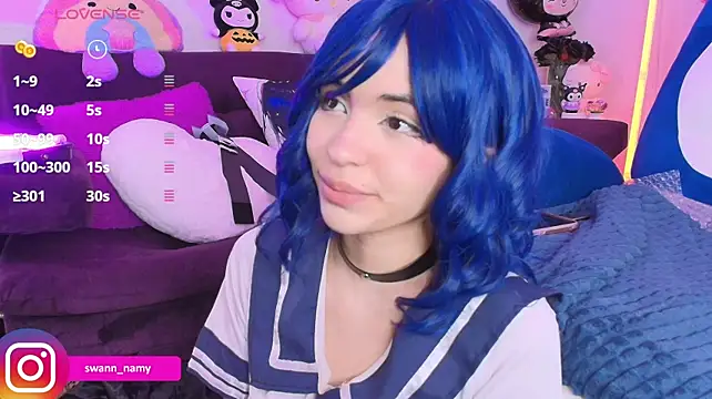 Swannamy live cam preview