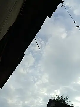 Samuel000000 live cam preview