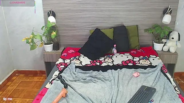 Alexandra_Castle live cam