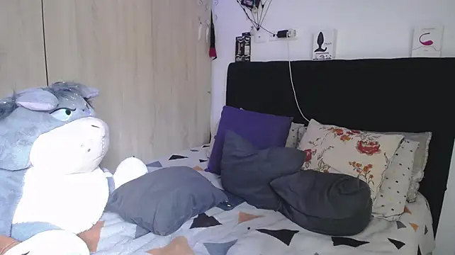 Santiago_kiler webcam