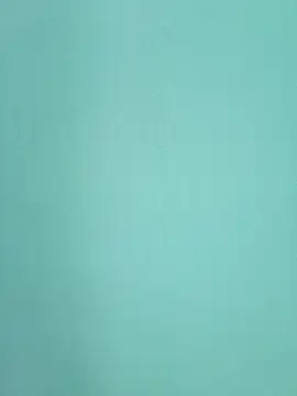 BongQueen9 live cam preview