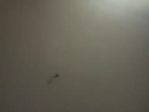 crisfootlicker