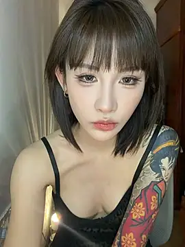 You-ok2 webcam