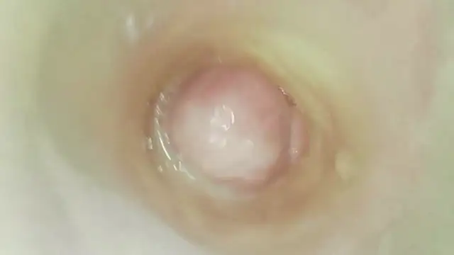 karol_stom
