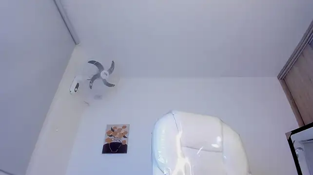 Walton_abieca_ webcam