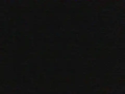 shugabaibe