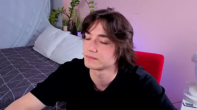 maks_brayn webcam