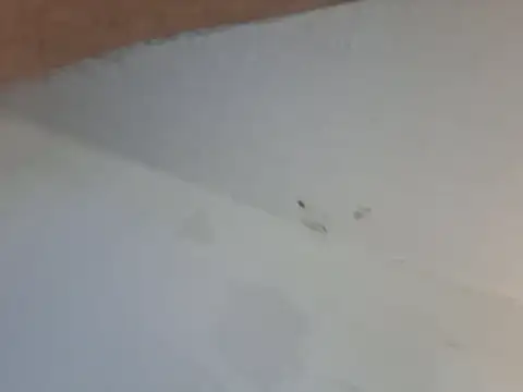 247Srokin live cam preview