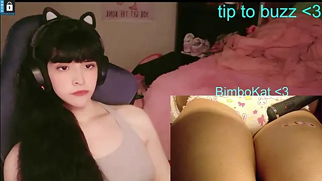 BimboCat webcam