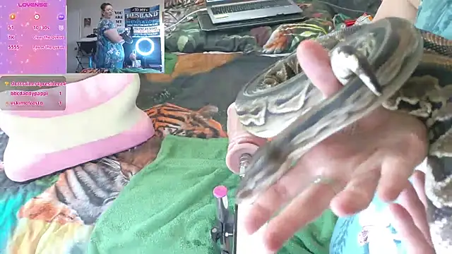 fatfabulous1981 live cam preview