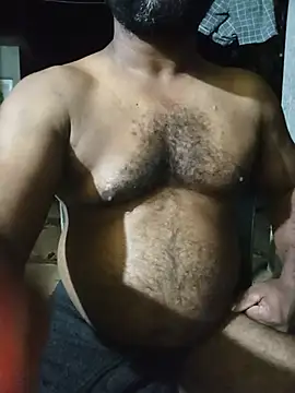 Hiptonos webcam