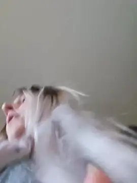 ScarletsWeb