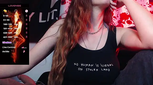 Silentmary live cam preview
