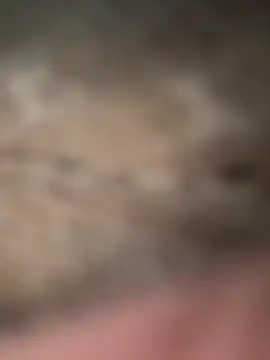 Alexxx7565