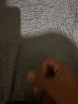 Novinho8