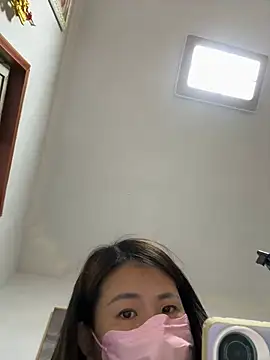 Aini-sa