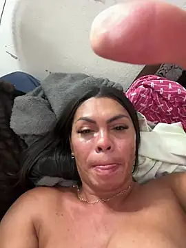 Bellatrans__