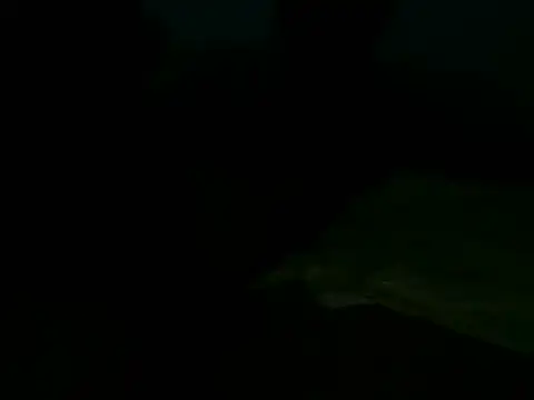 Jungle_bunny