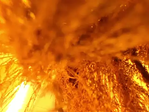 kiaraBennett