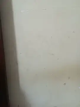 Kittu_Rani25