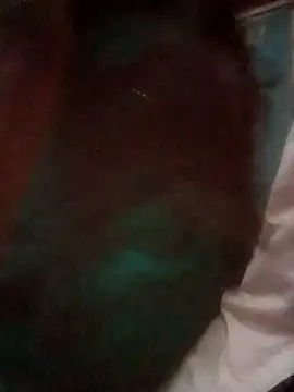 TINASONI