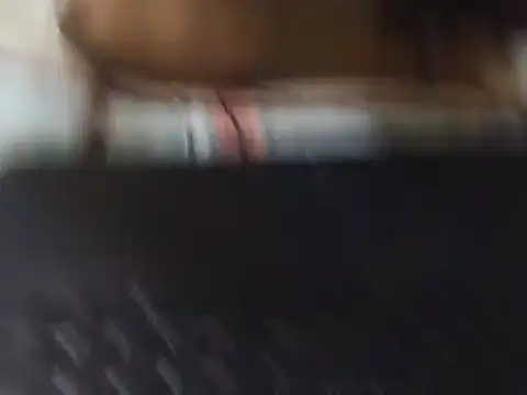 Petitesquirter live cam preview