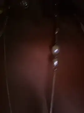 CelynaRoss