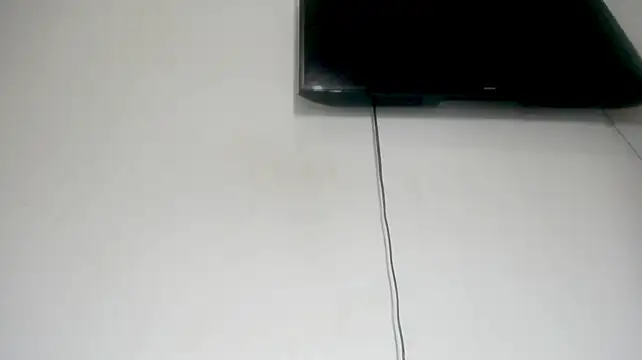 Fox_Loves