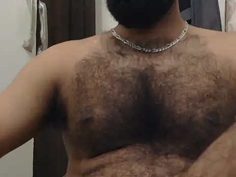 indianhairybull