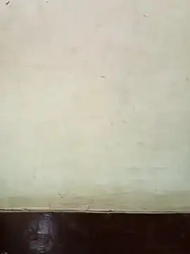 ANITA2529