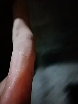 toyo_668