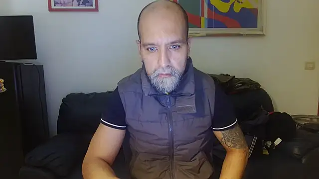 AMIRDIB2025
