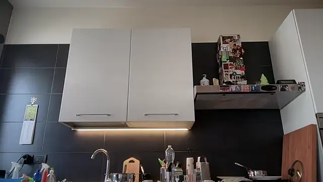 theitalianbear
