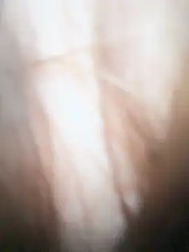 Coconut_milk