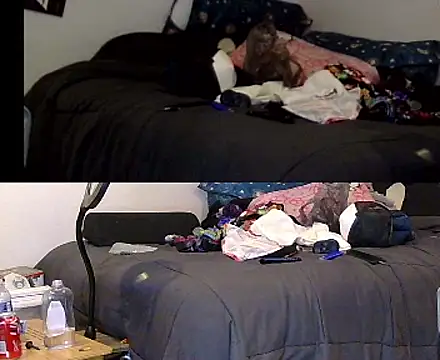 TheRealMrDLlong live sex cam