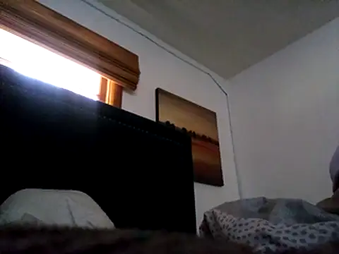 Blkstylion webcam