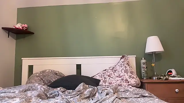 lddddll live cam preview